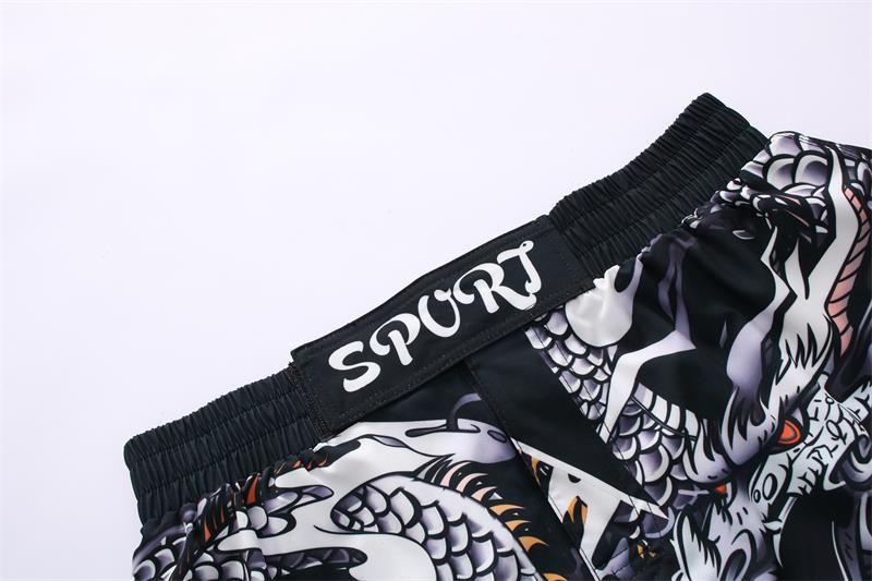 Dragon 'Silver Dragon' Elite Fight Shorts